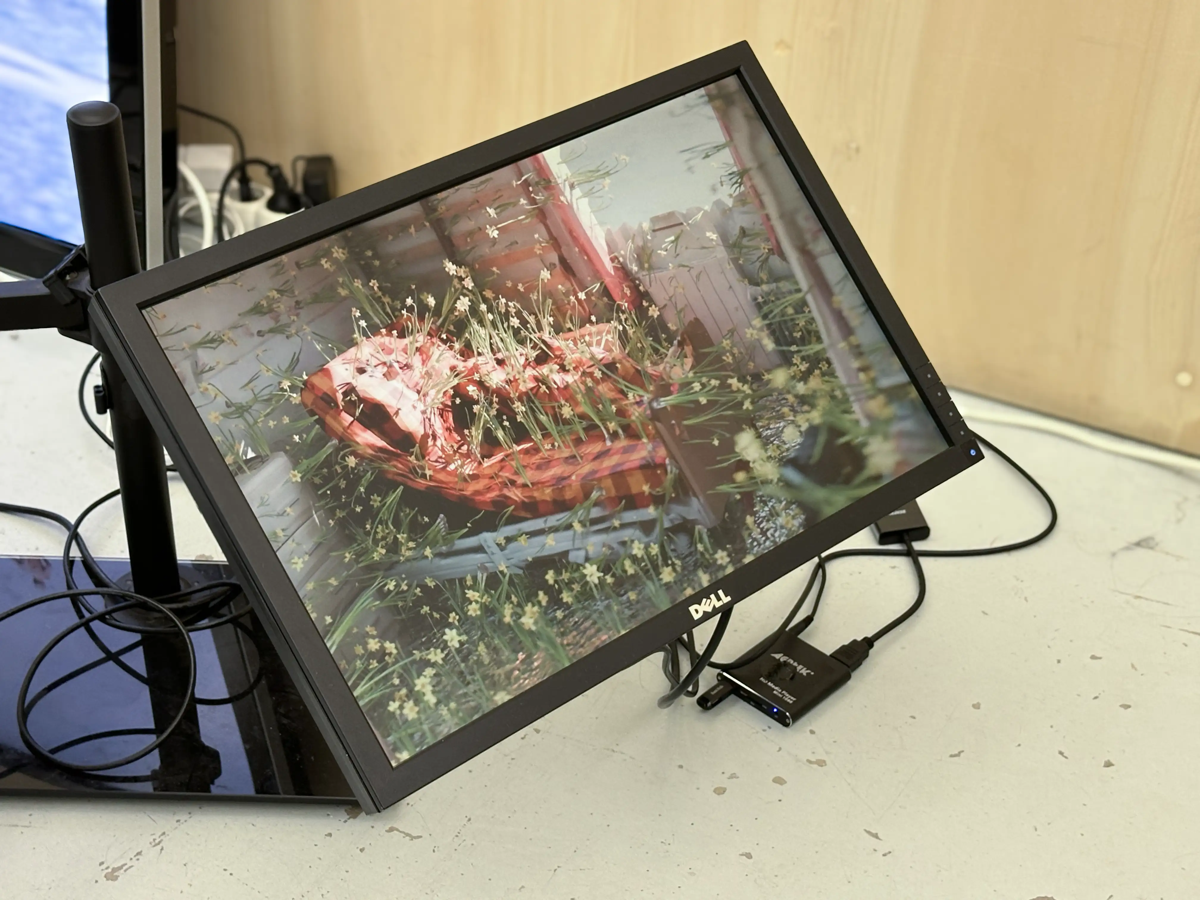 Image pleine largeur